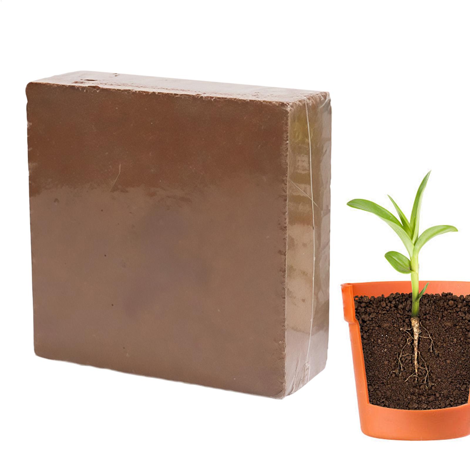 Coco Coir Block - Tanah Bonsai Bata 300g Tanah Organik