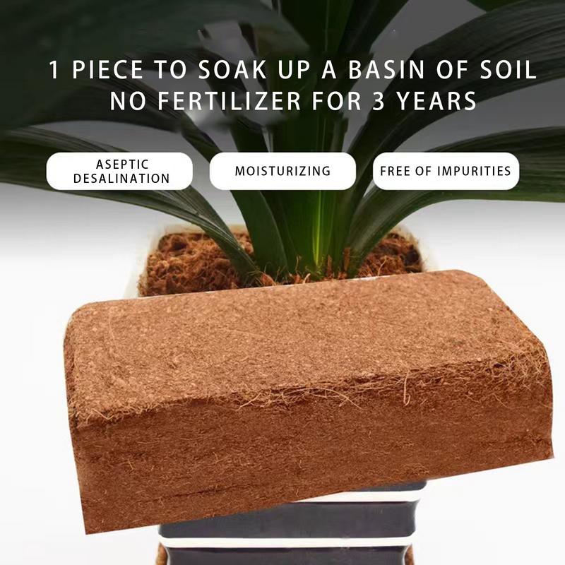 Coco Coir Brick Coco Soil Coir - Coco Coir Block ulasan dan harga
