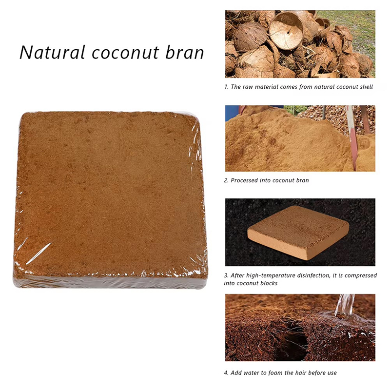 1/3/5 Buah Blok Bibit Serat Ke - Coco Coir Block ulasan dan harga