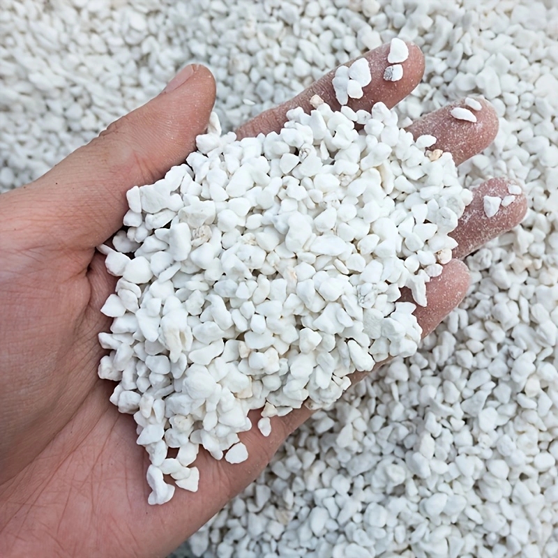 1 Pak Perlite Hortikultura 3-6 - Coco Coir Block ulasan dan harga