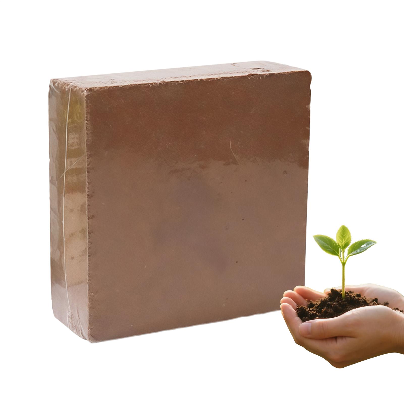 Tanah Organik 300g Tanah Bonsa - Coco Coir Block ulasan dan harga